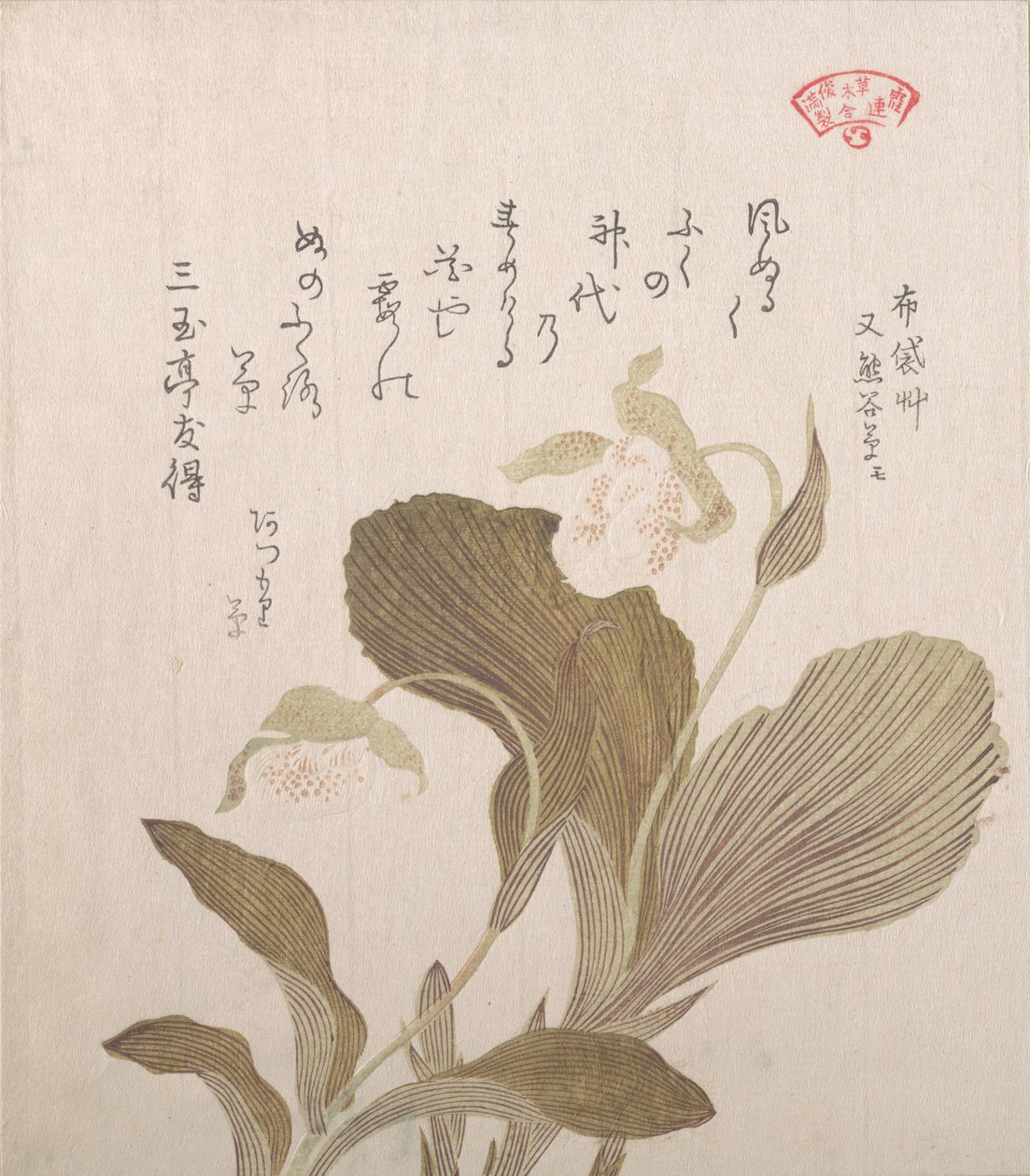 Flores de Hotei, siglo XIX de Kubo Shunman