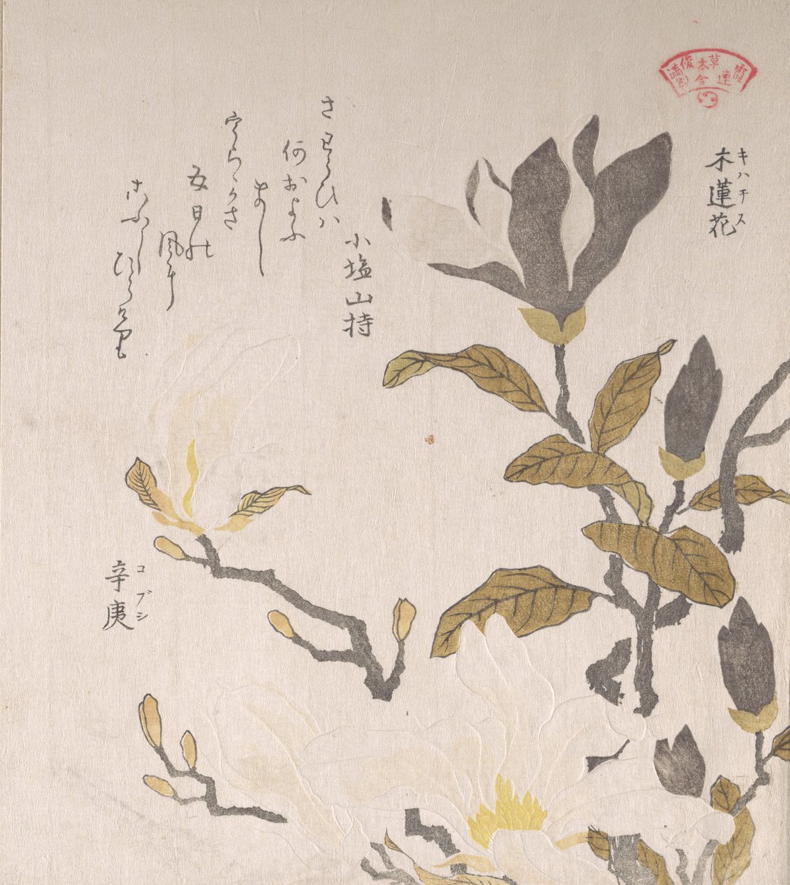 Flores de magnolia, siglo XIX de Kubo Shunman