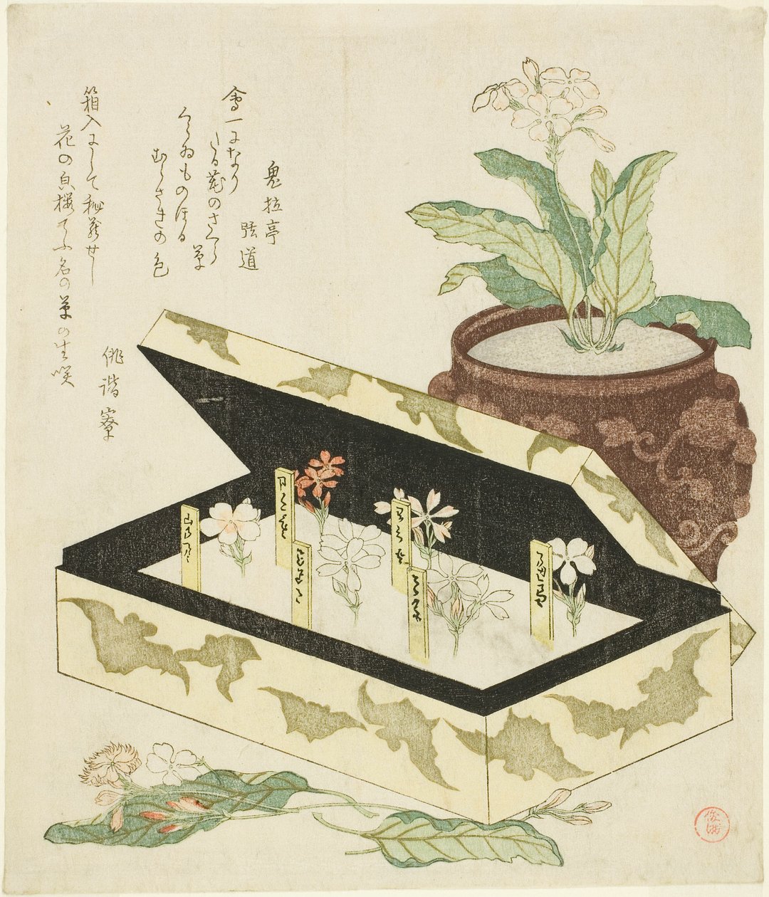 Prímulas de Kubo Shunman
