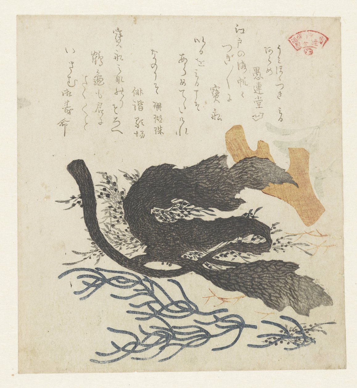 algas de Kubota Shunman