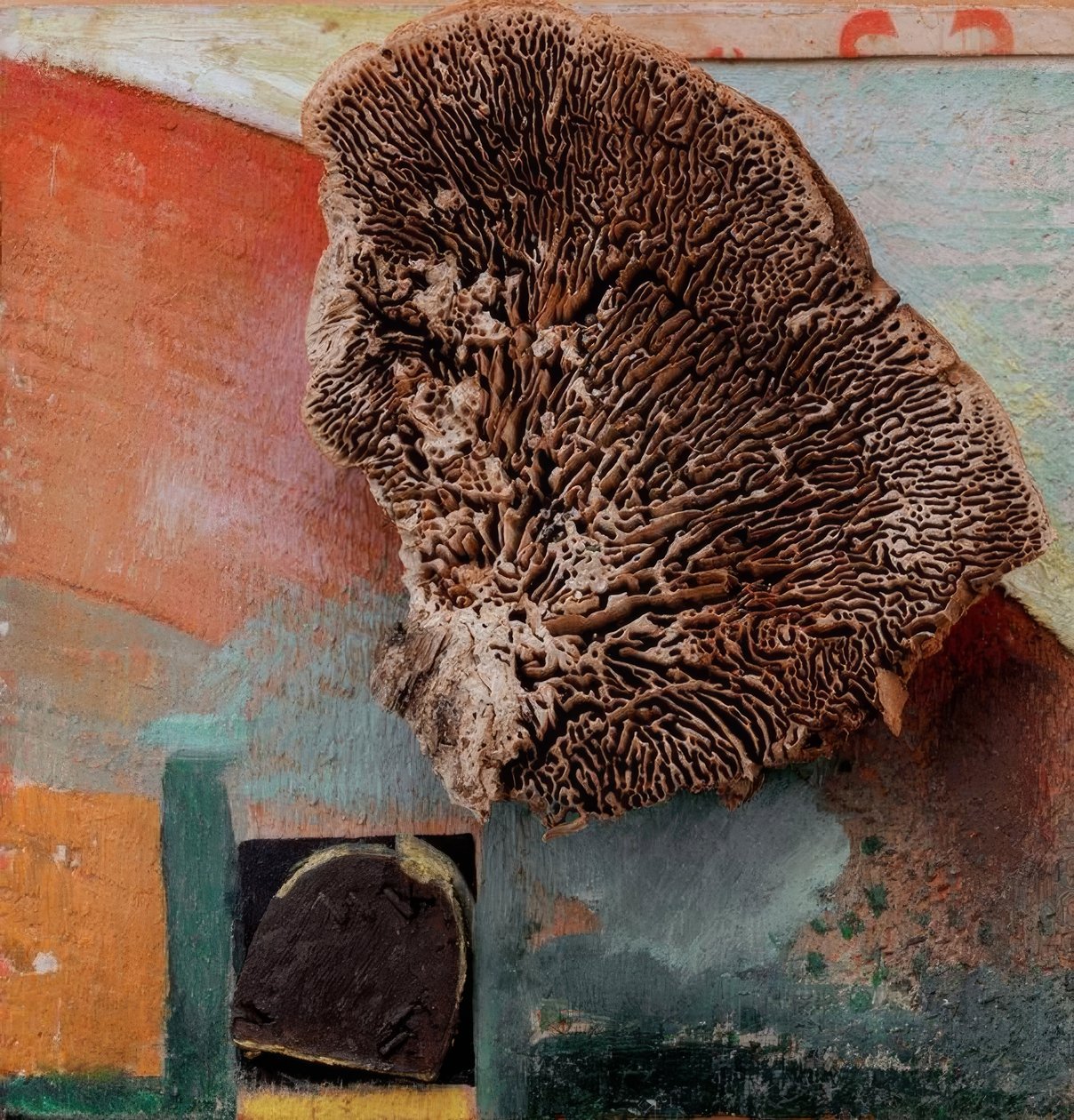 Sin título (Merzbild con coral) de Kurt Schwitters