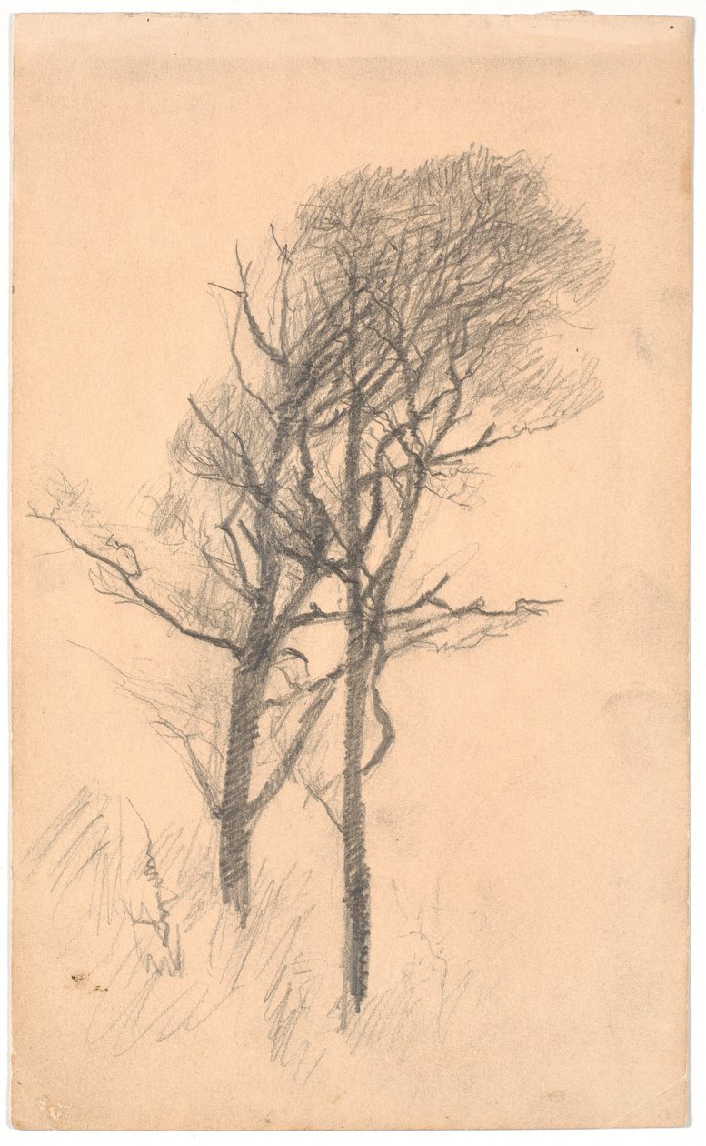 Dos árboles con sotobosque bajo de Laurits Andersen Ring