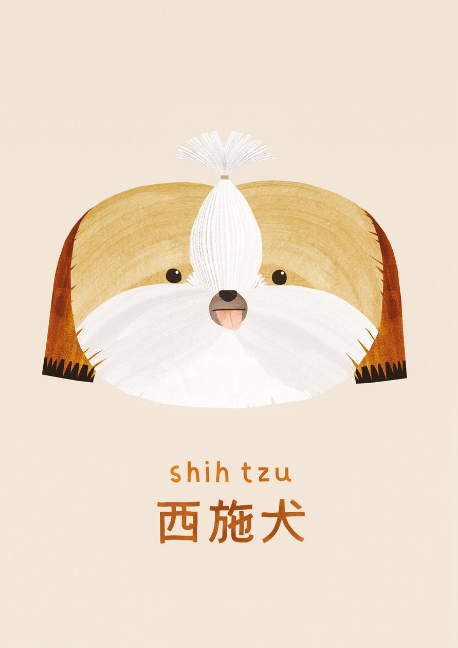 Shih tzu, 2019 de Léa Le Pivert