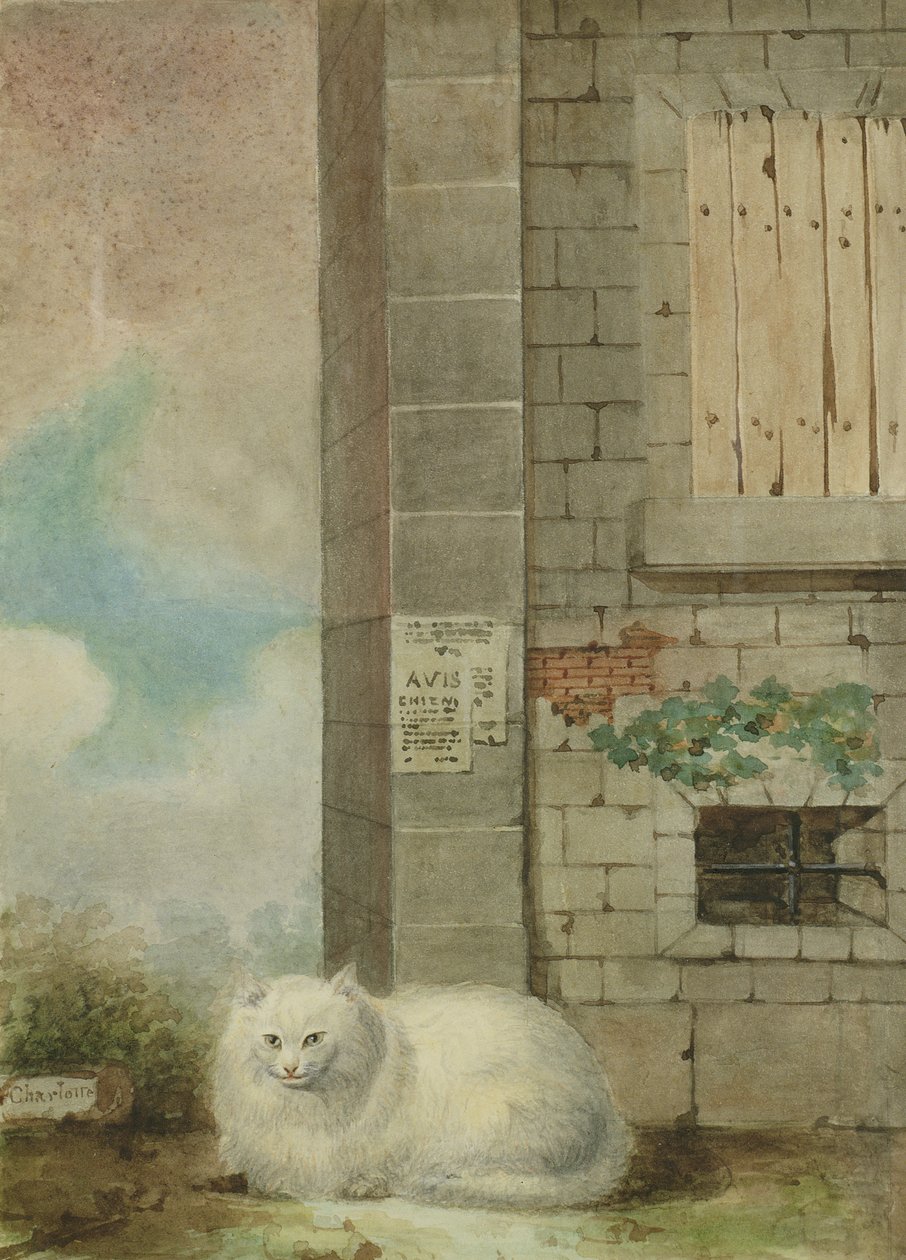 Gato persa blanco de Lady Charlotte Schreiber