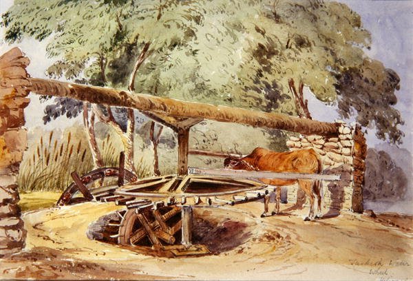 Rueda de Agua Turca, Heliópolis de Lady Louisa Tennyson