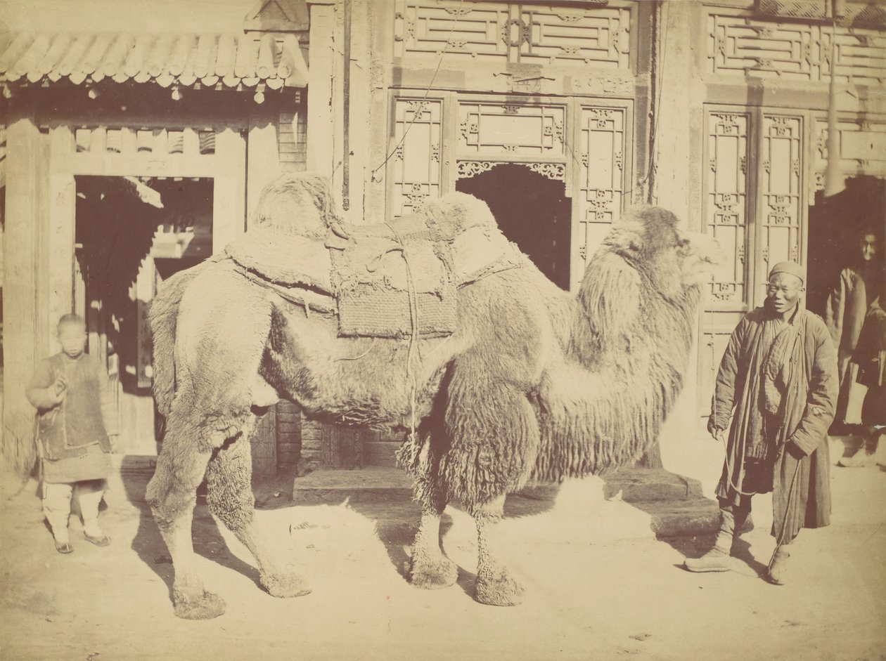 Pekín. No. 923 de Lai Fong.