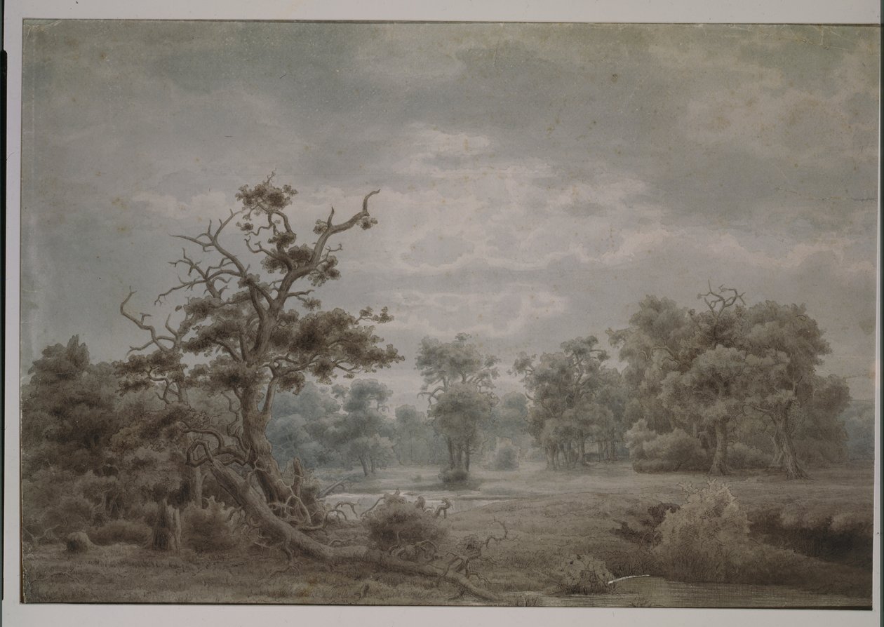 Paisaje forestal desde Dusseldorf de Lars Hertervig