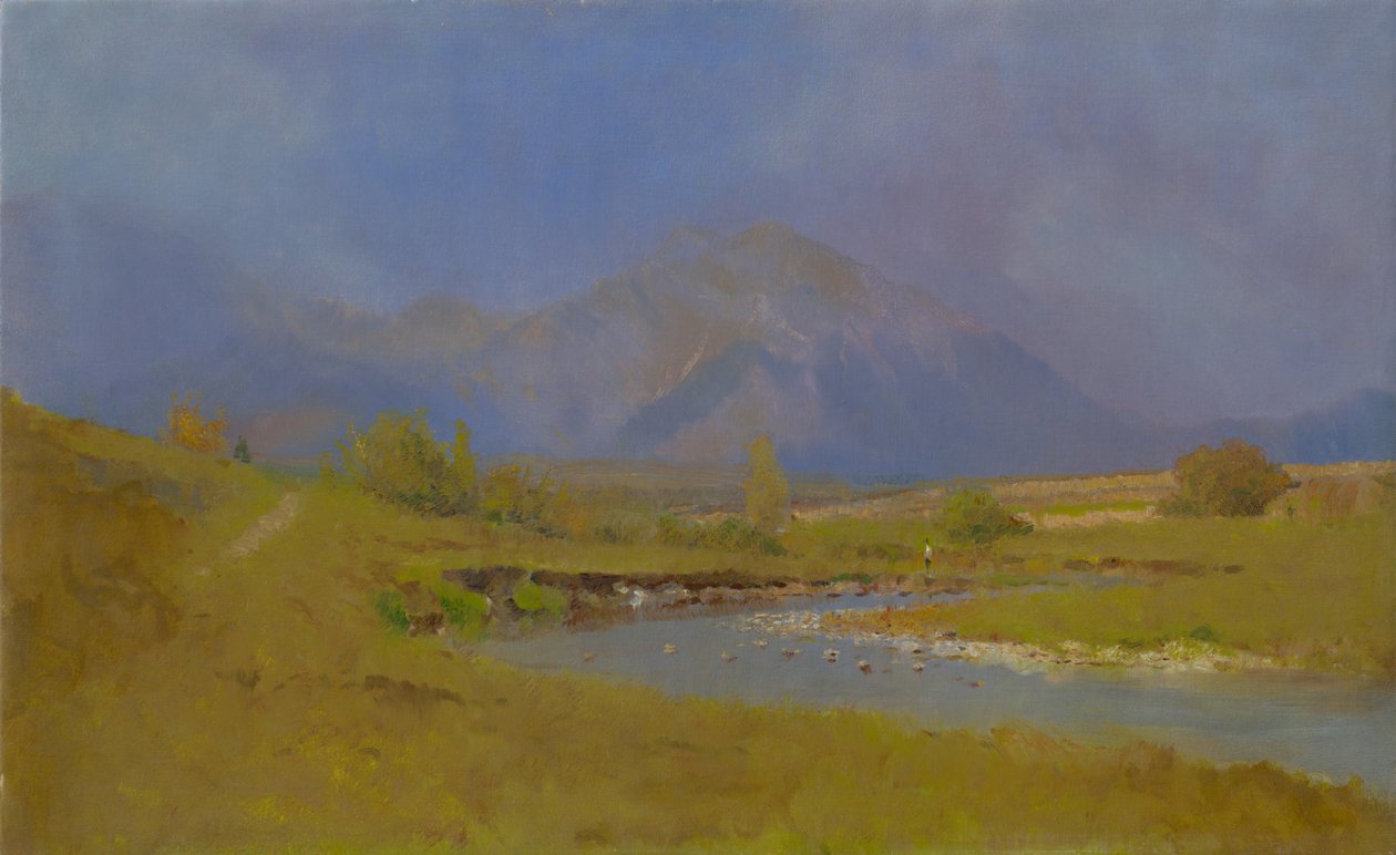 Paisaje de Podtatranská después de la lluvia de primavera, 1878-79 de Laszlo Mednyanszky