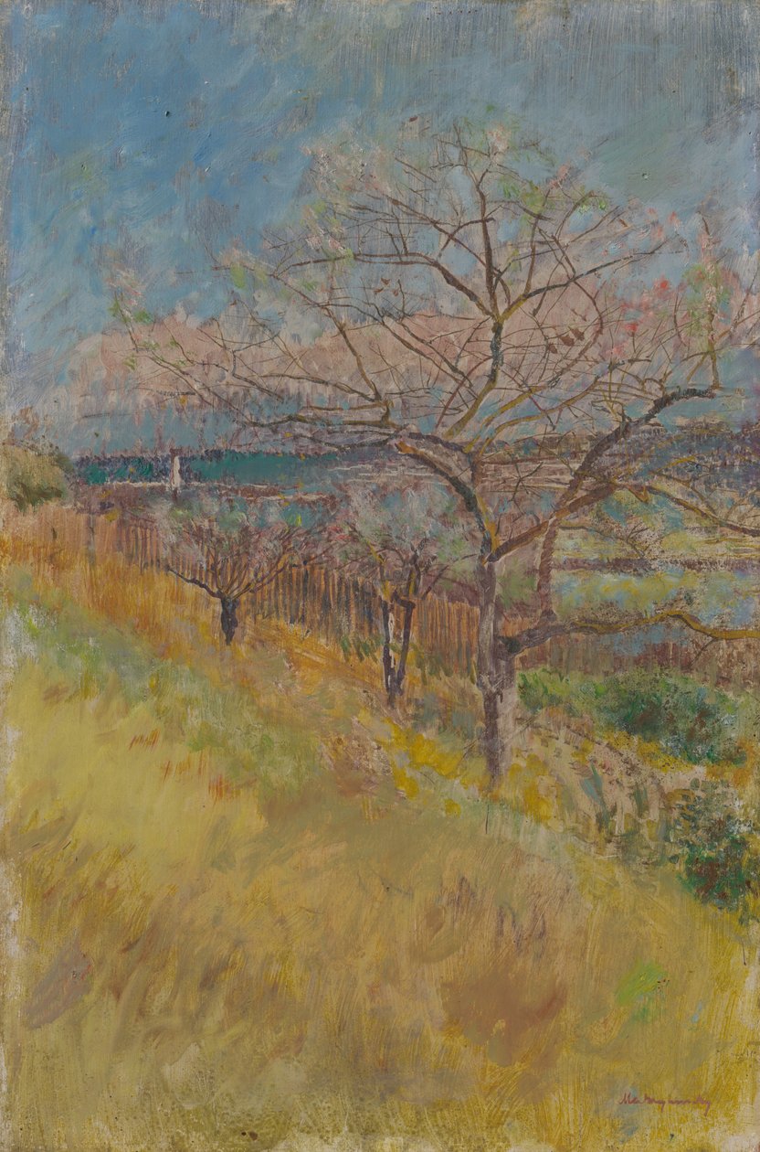 Valle con árboles en flor, 1890-1900 de Laszlo Mednyanszky