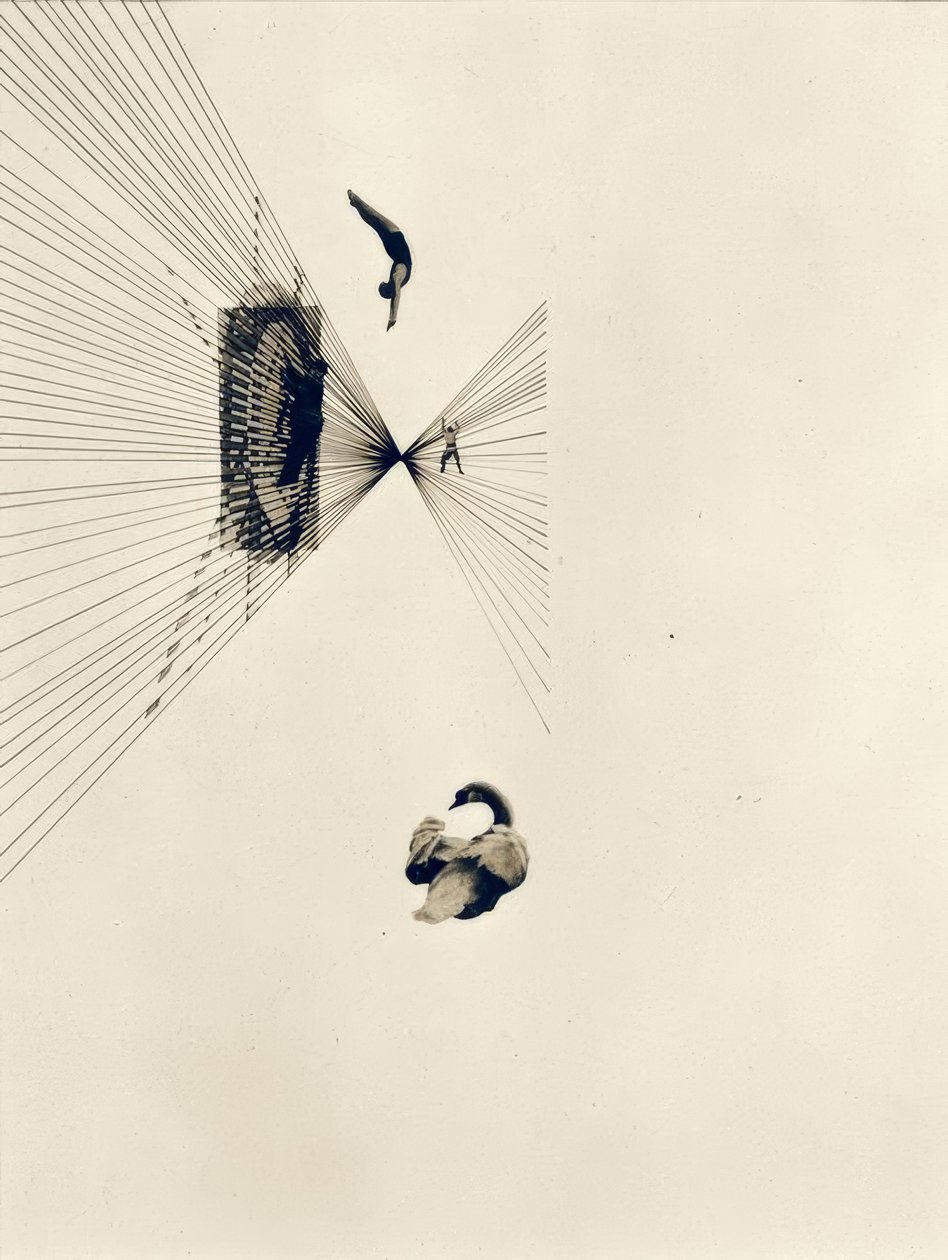 Leda y el cisne de Laszlo Moholy Nagy