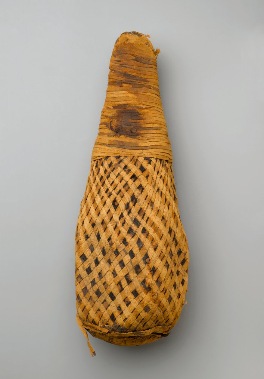 Momia de un ibis, 664-332 a.C. de Late Period Egyptian