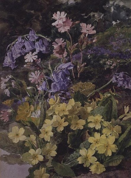 Estudio de Flores de Laura Darcy Strutt