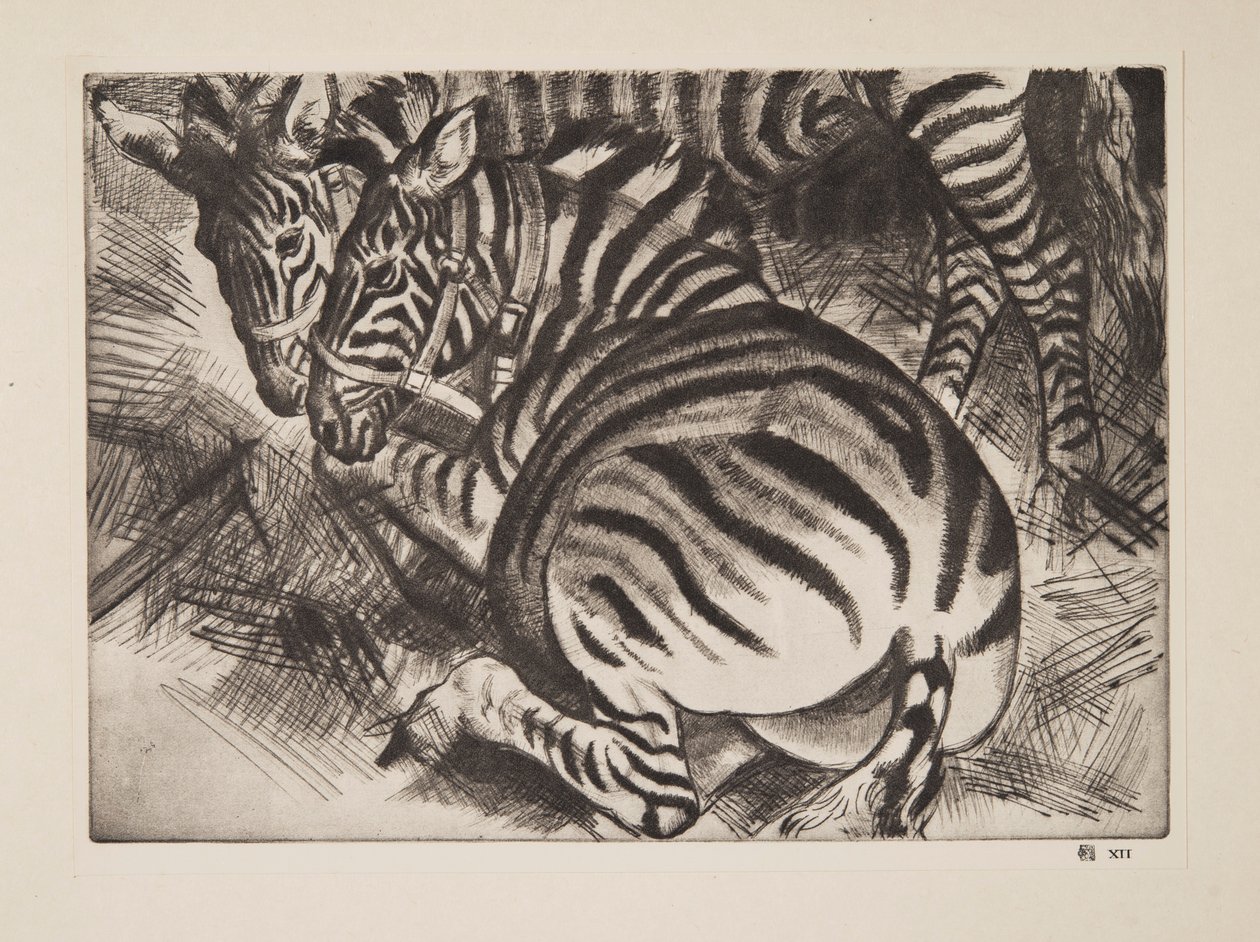 Cebras, pub. 1930 de Laura Knight
