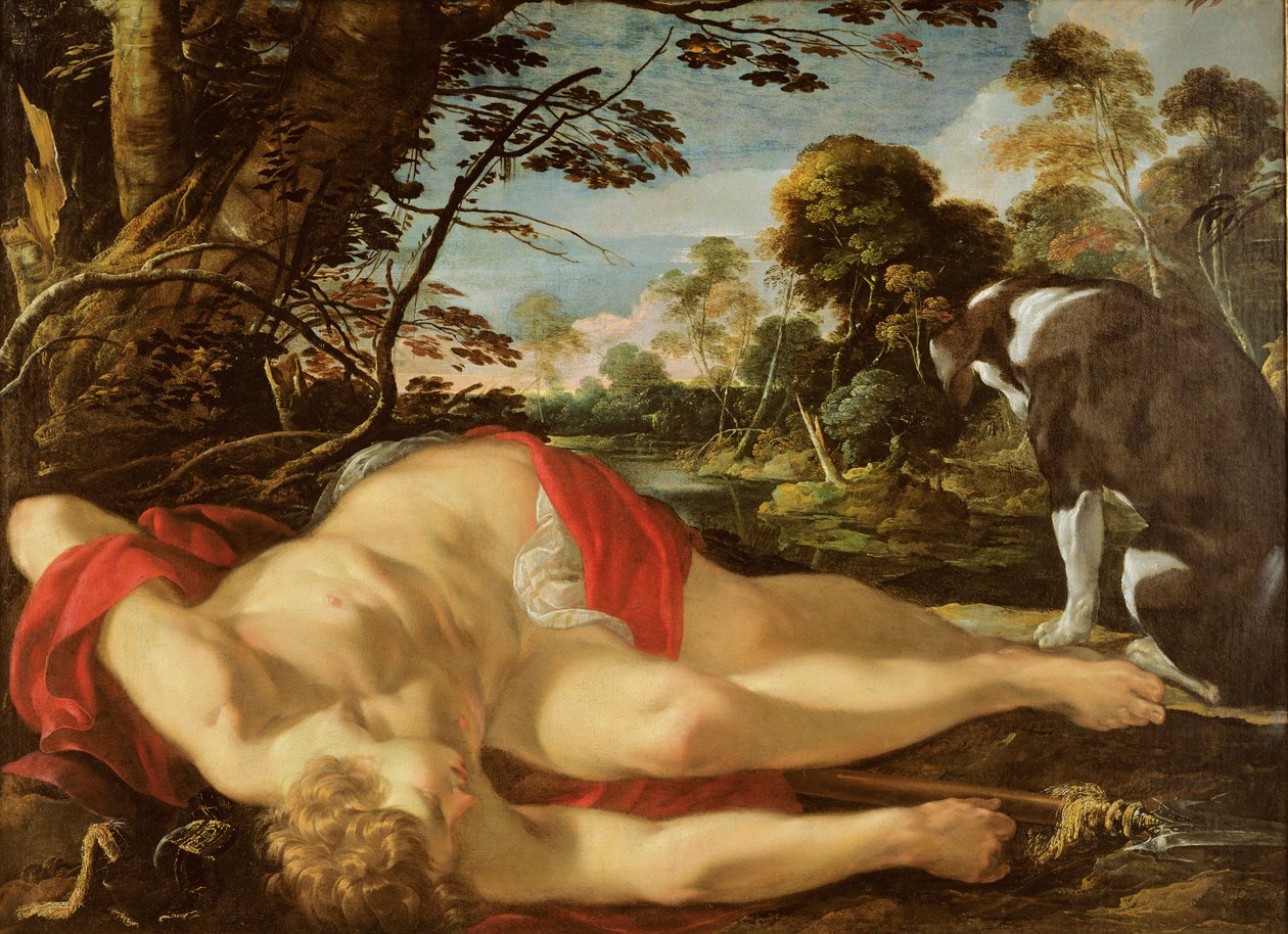 Adonis Muerto, c.1624-28 de Laurent de la Hyre