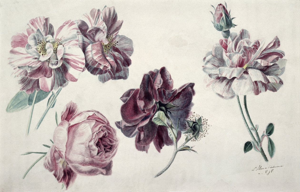 Rosas de Lawrence Alma Tadema