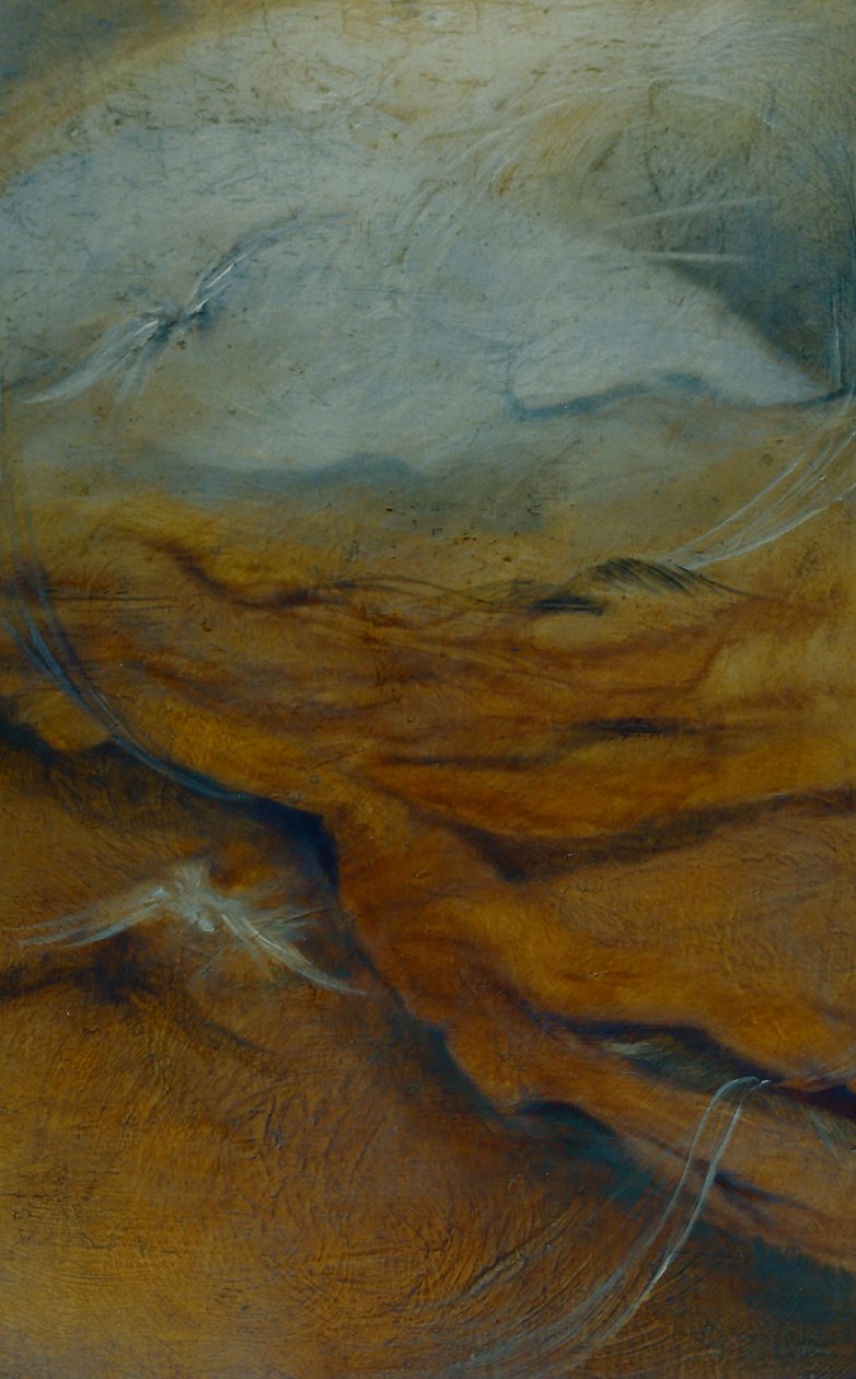 Substrato, 1996 de Lee Campbell
