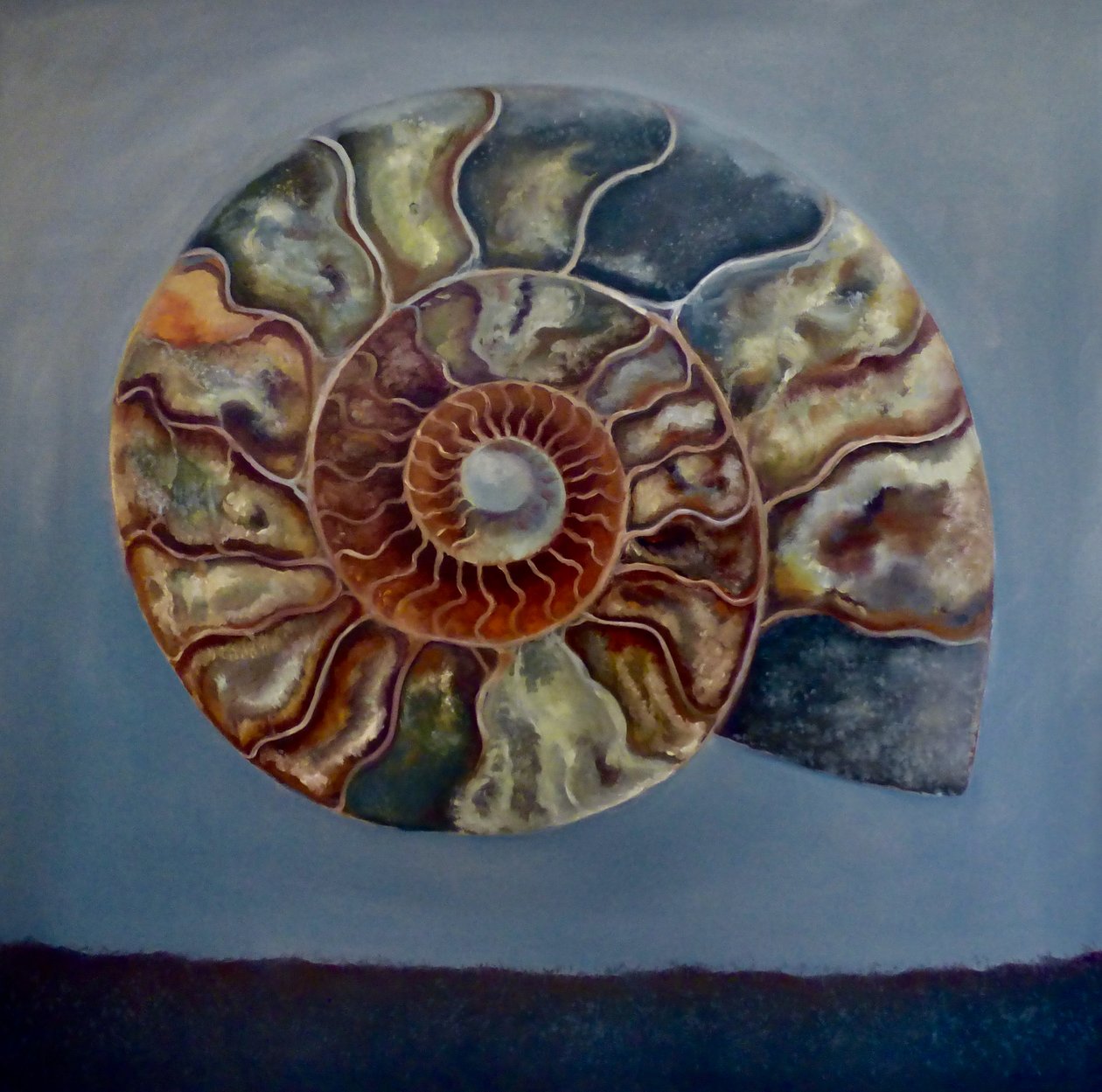 Amonita de Lee Campbell