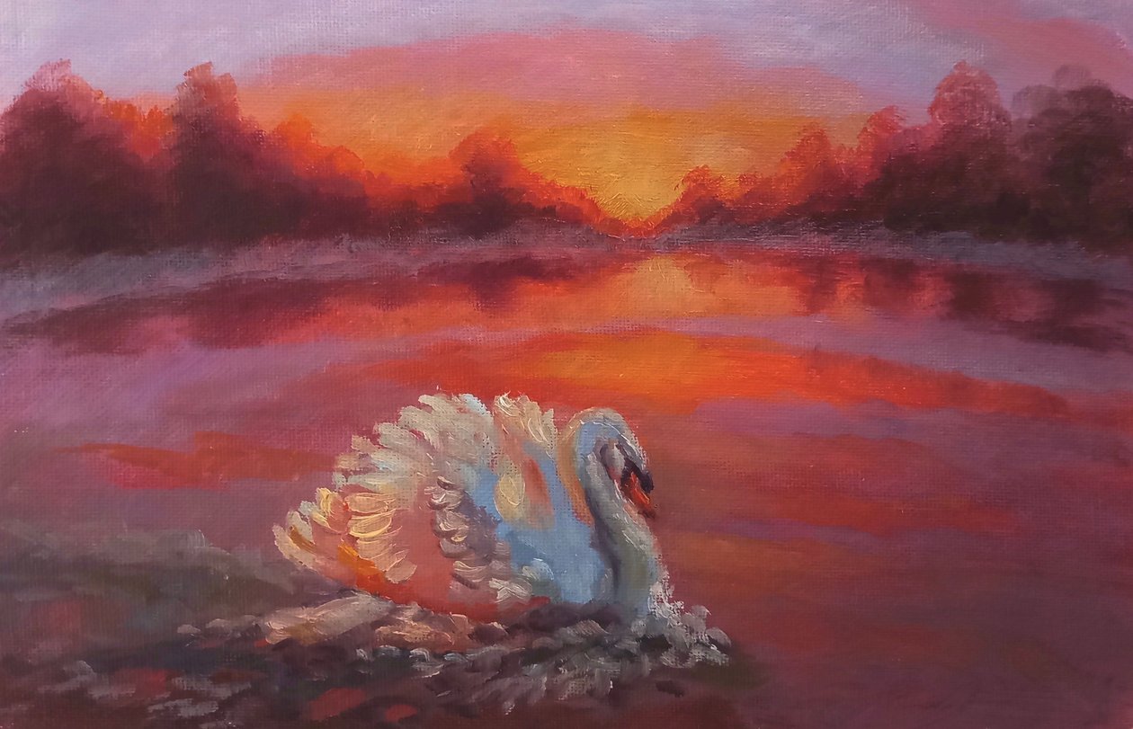 Adelante, Natación Cisne, 2024 de Lee Campbell