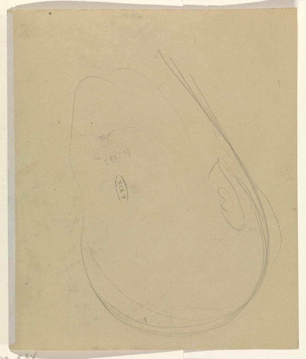 Contornos de una cabeza de Leo Gestel