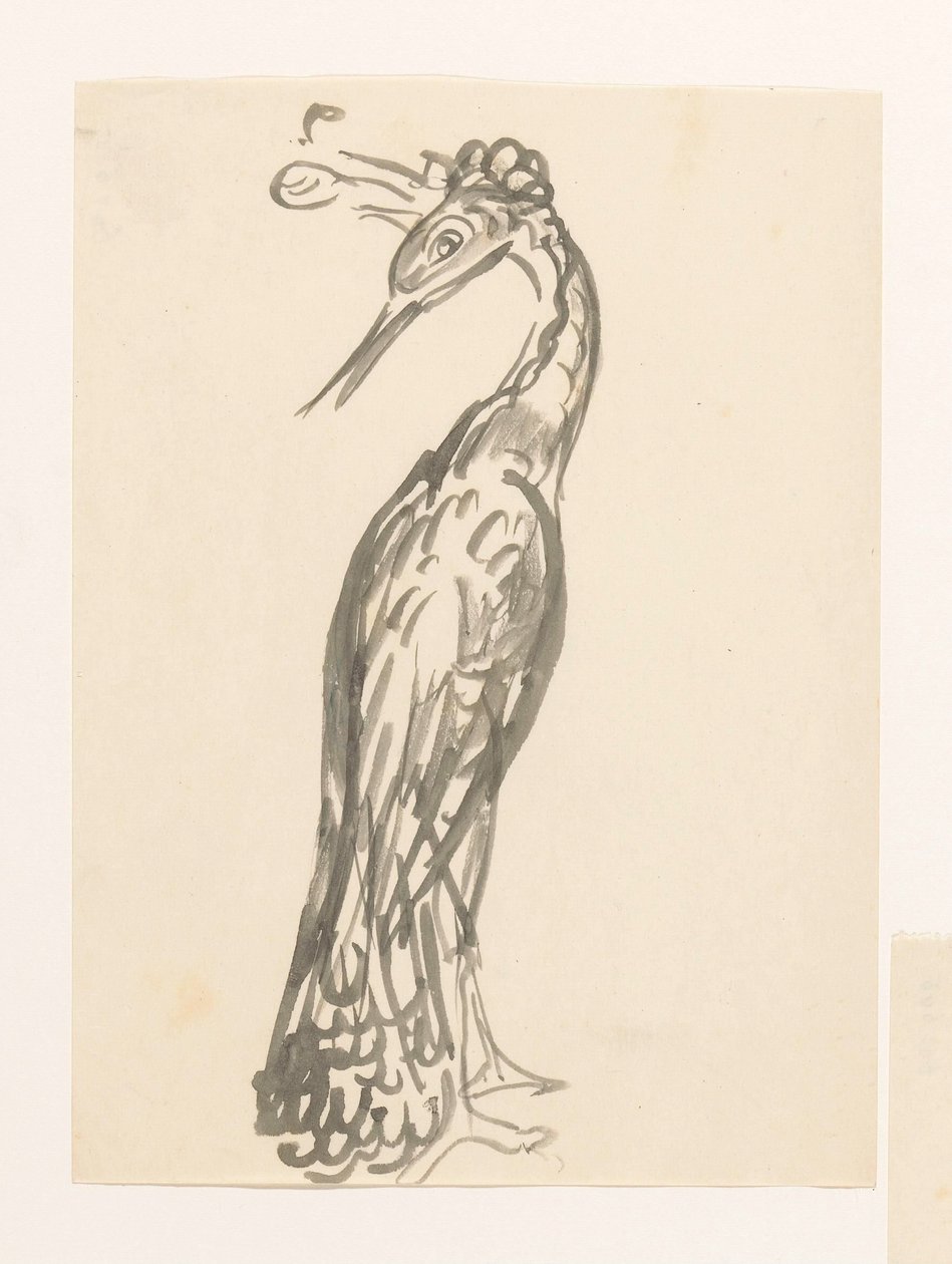 Garza con la cabeza girada hacia atrás de Leo Gestel