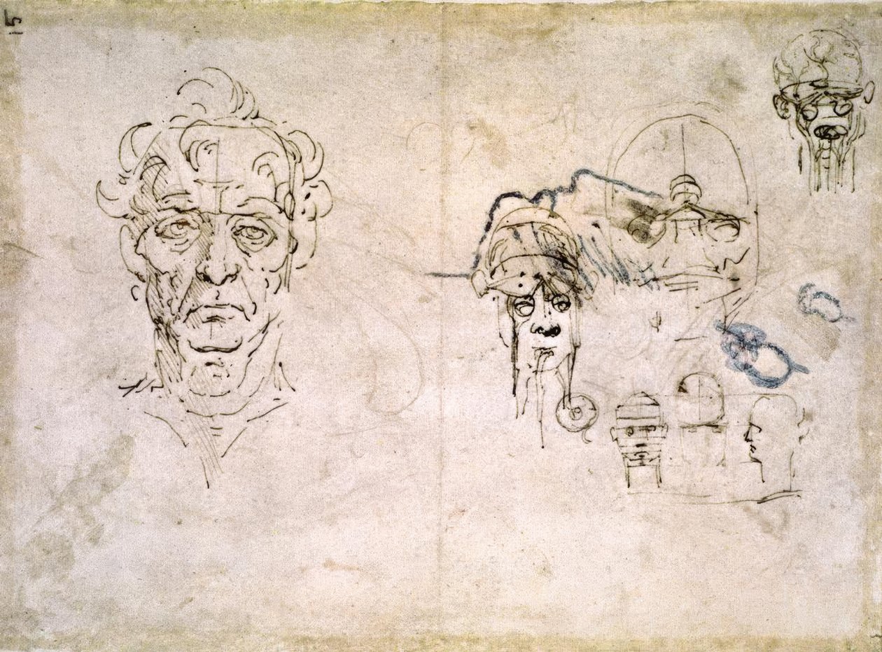 Estudios de anatomía de Leonardo da Vinci