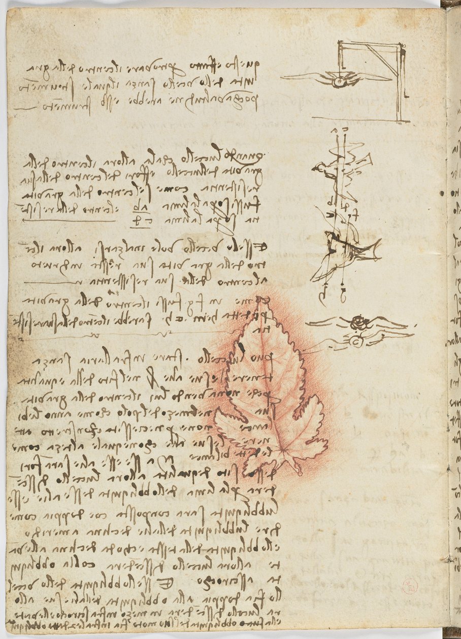 Código sobre el vuelo de los pájaros, c. 1505-06, manuscrito en papel, cc. 18, hoja 15 verso de Leonardo da Vinci