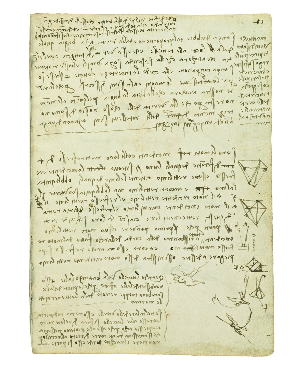 Códice sobre el vuelo de los pájaros, Folio 11 recto de Leonardo da Vinci