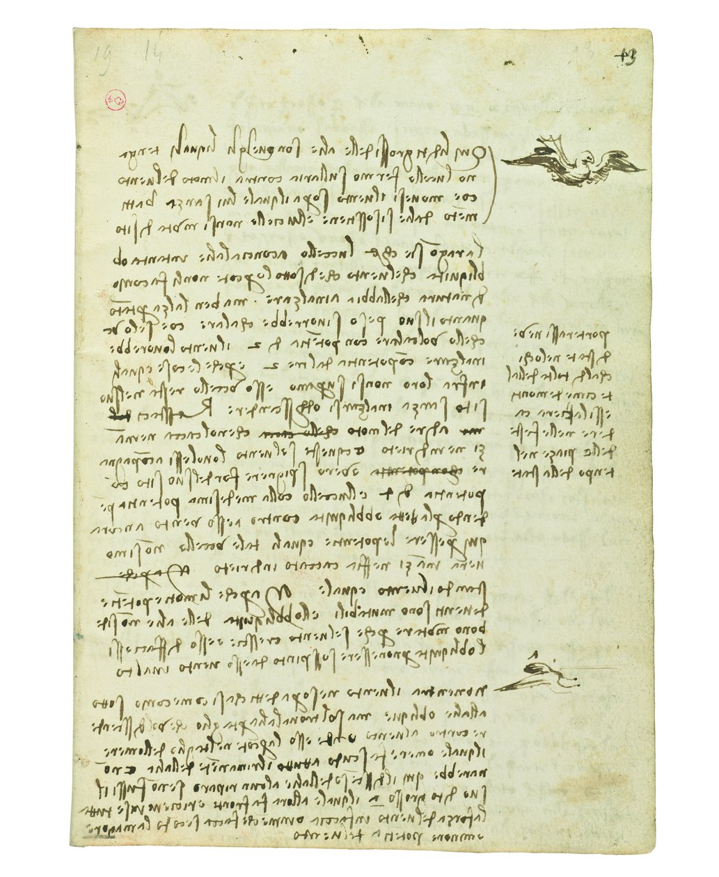 Códice sobre el vuelo de los pájaros, Folio 13 recto de Leonardo da Vinci