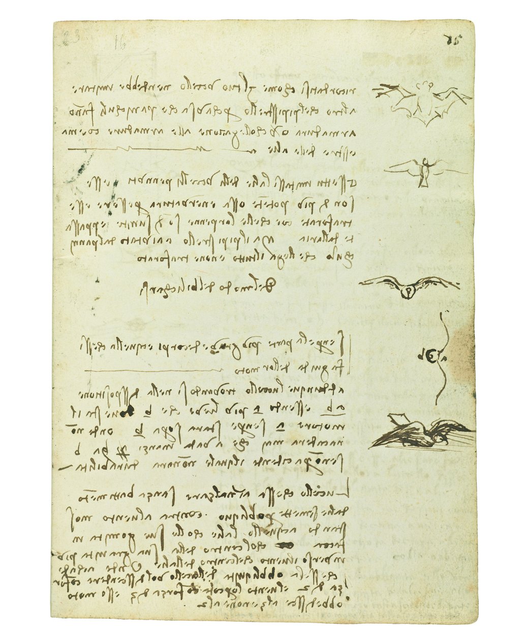 Códice sobre el vuelo de los pájaros, Folio 15 recto de Leonardo da Vinci