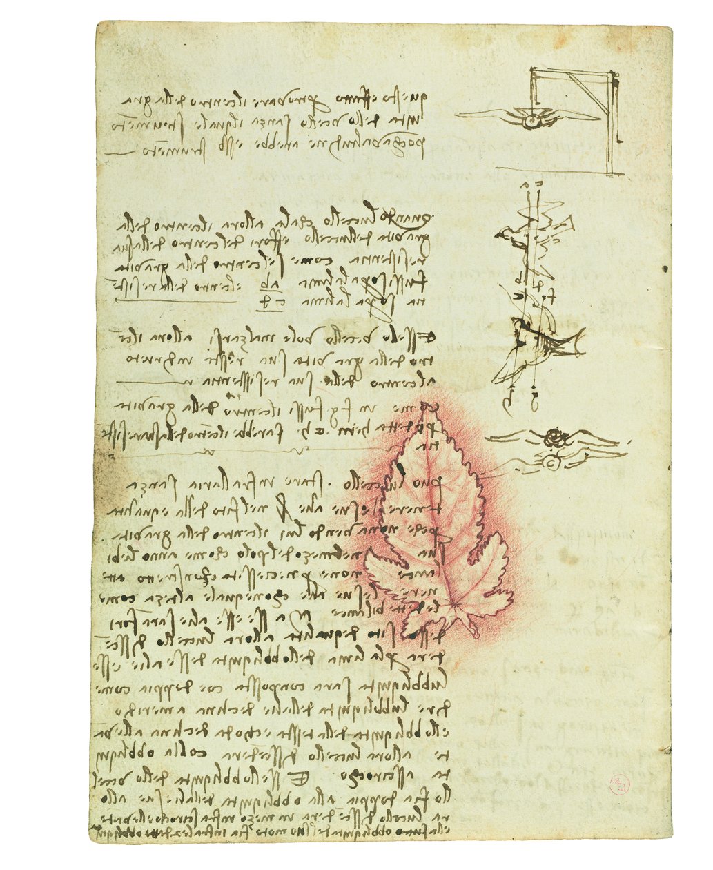 Códice sobre el vuelo de los pájaros, Folio 15 verso de Leonardo da Vinci