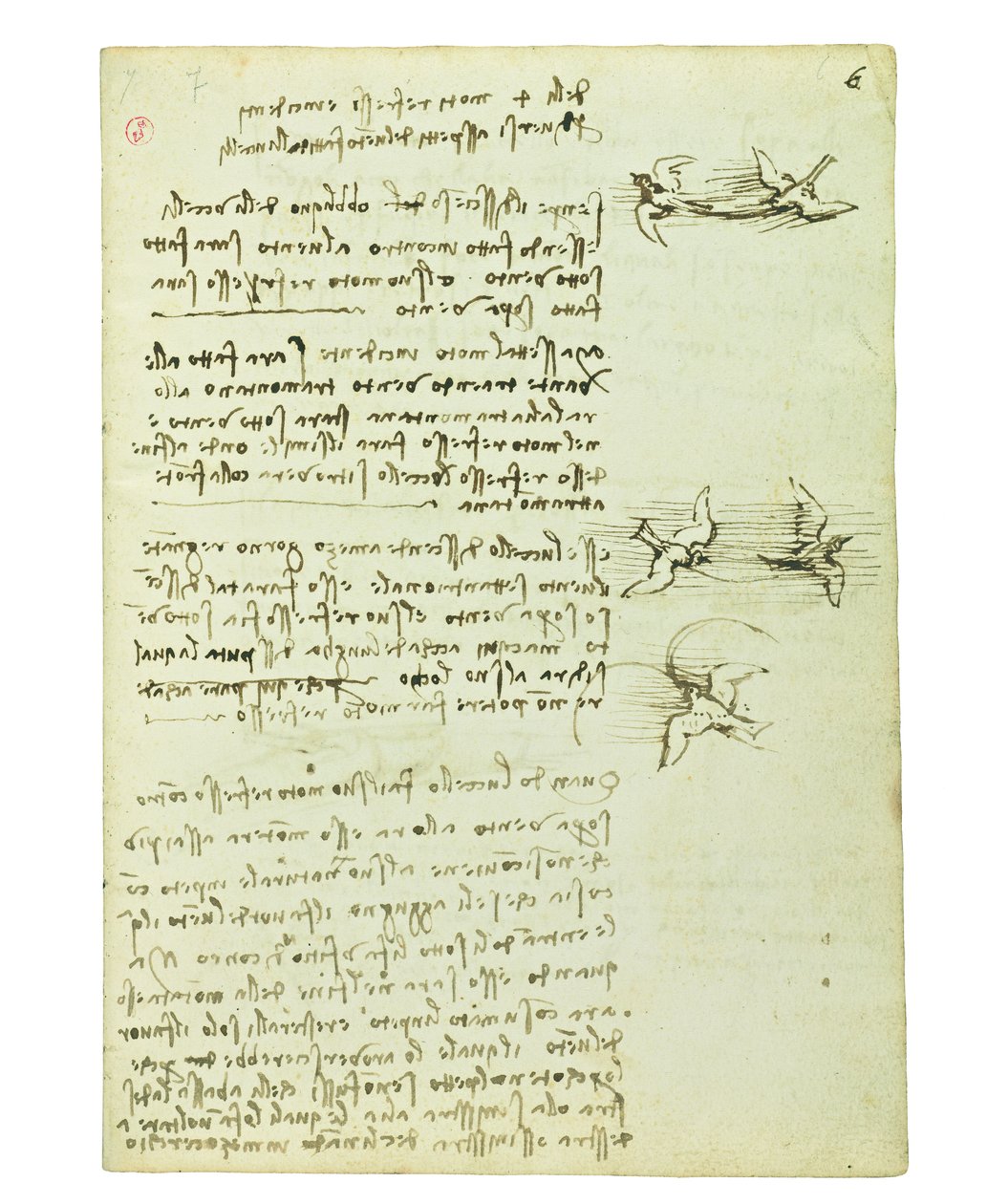 Códice sobre el vuelo de los pájaros, Folio 6 recto de Leonardo da Vinci