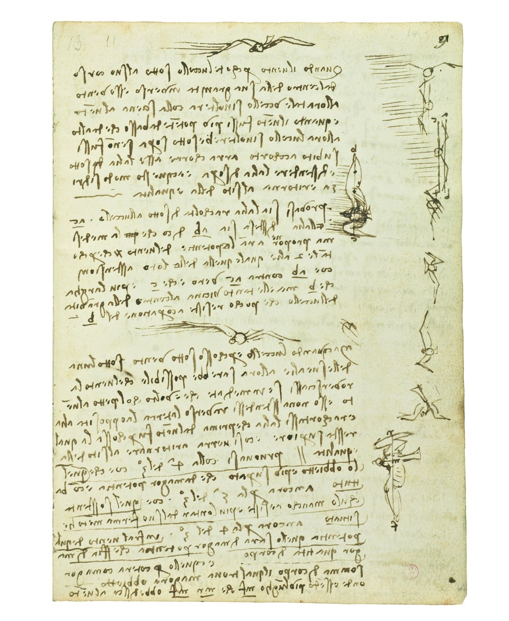 Códice sobre el vuelo de los pájaros, Folio 9 recto de Leonardo da Vinci