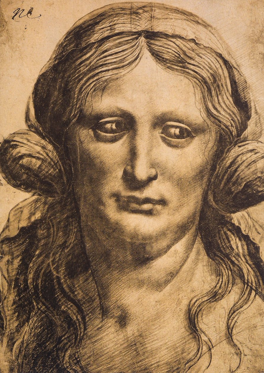 Retrato de una mujer de Leonardo da Vinci