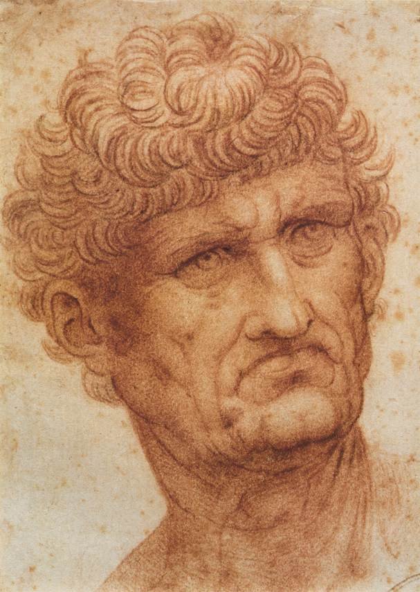 Cabeza de un hombre de Leonardo da Vinci