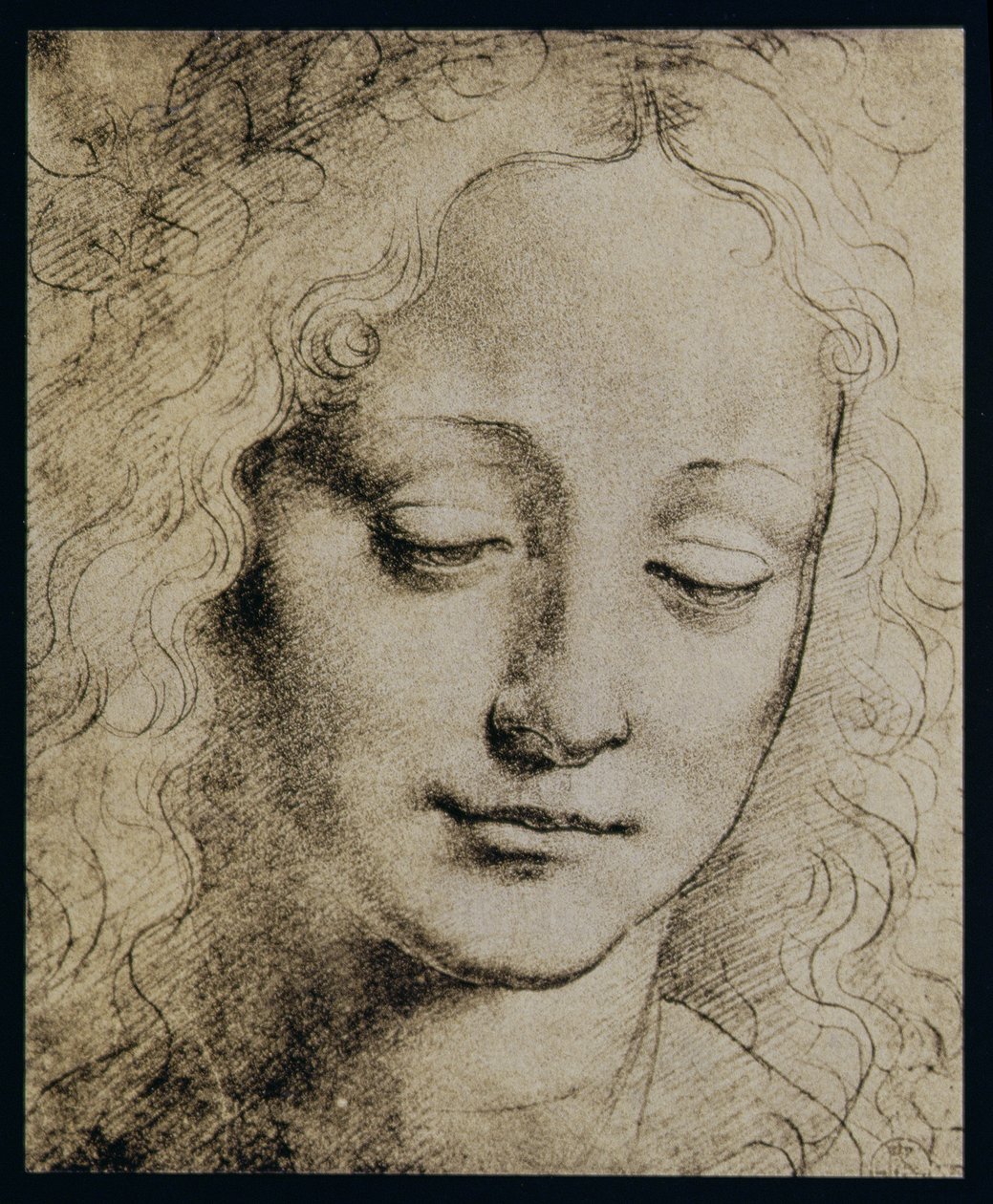 Cabeza de una Joven de Leonardo da Vinci