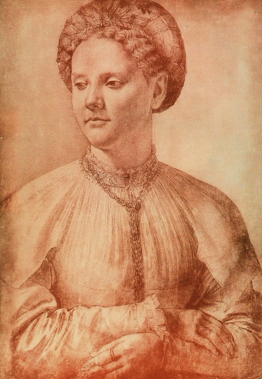 Retrato de una mujer noble de Leonardo da Vinci