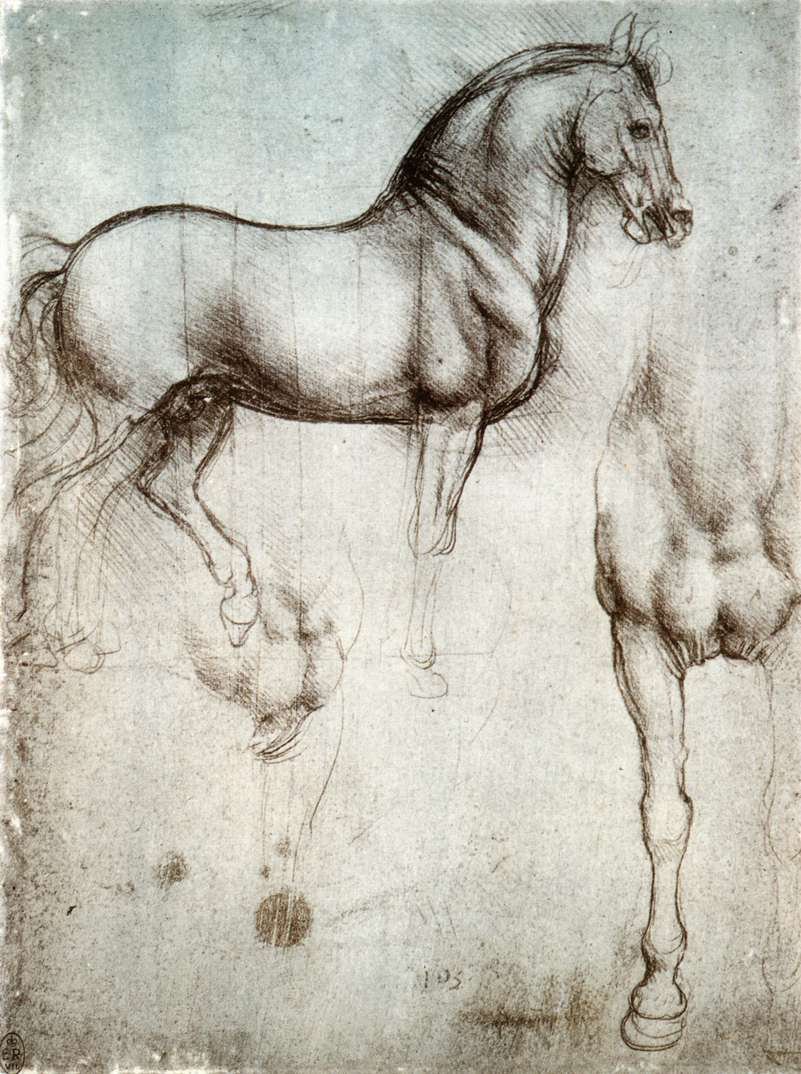Estudio de caballos de Leonardo da Vinci