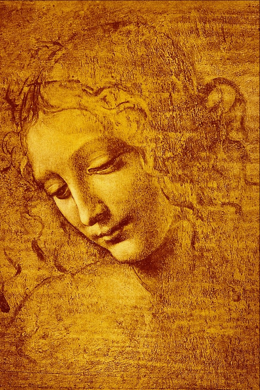 Cabeza de niña llamada La... de Leonardo da Vinci