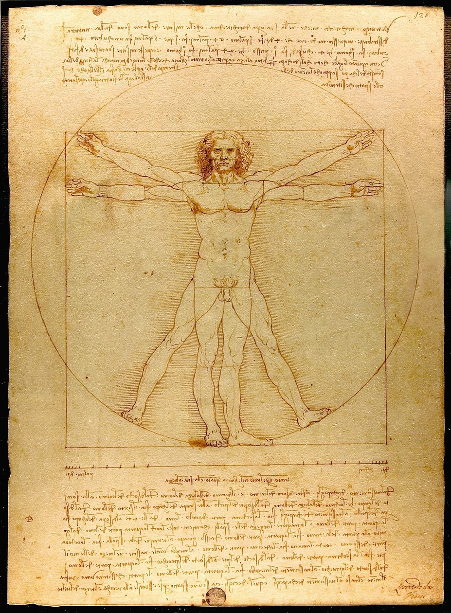 Hombre de Vitruvio de Leonardo da Vinci