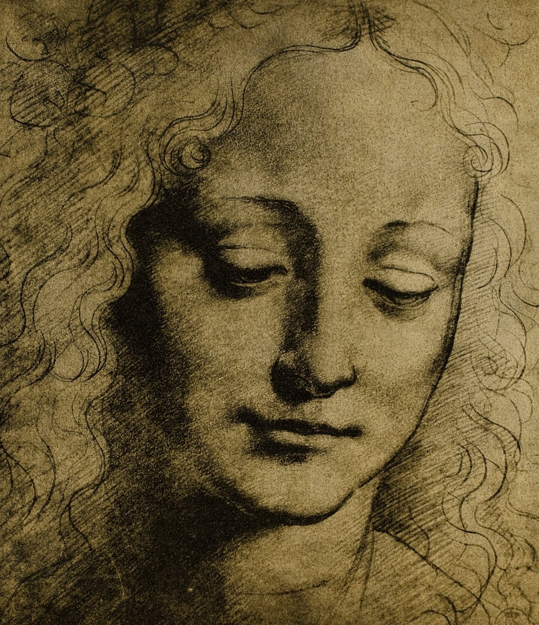 Cabeza de joven de Leonardo da Vinci