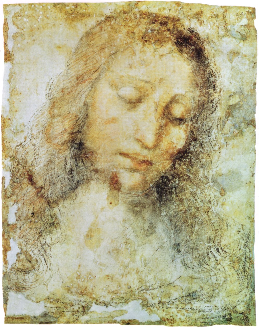 Pinacoteca de Brera de Leonardo da Vinci