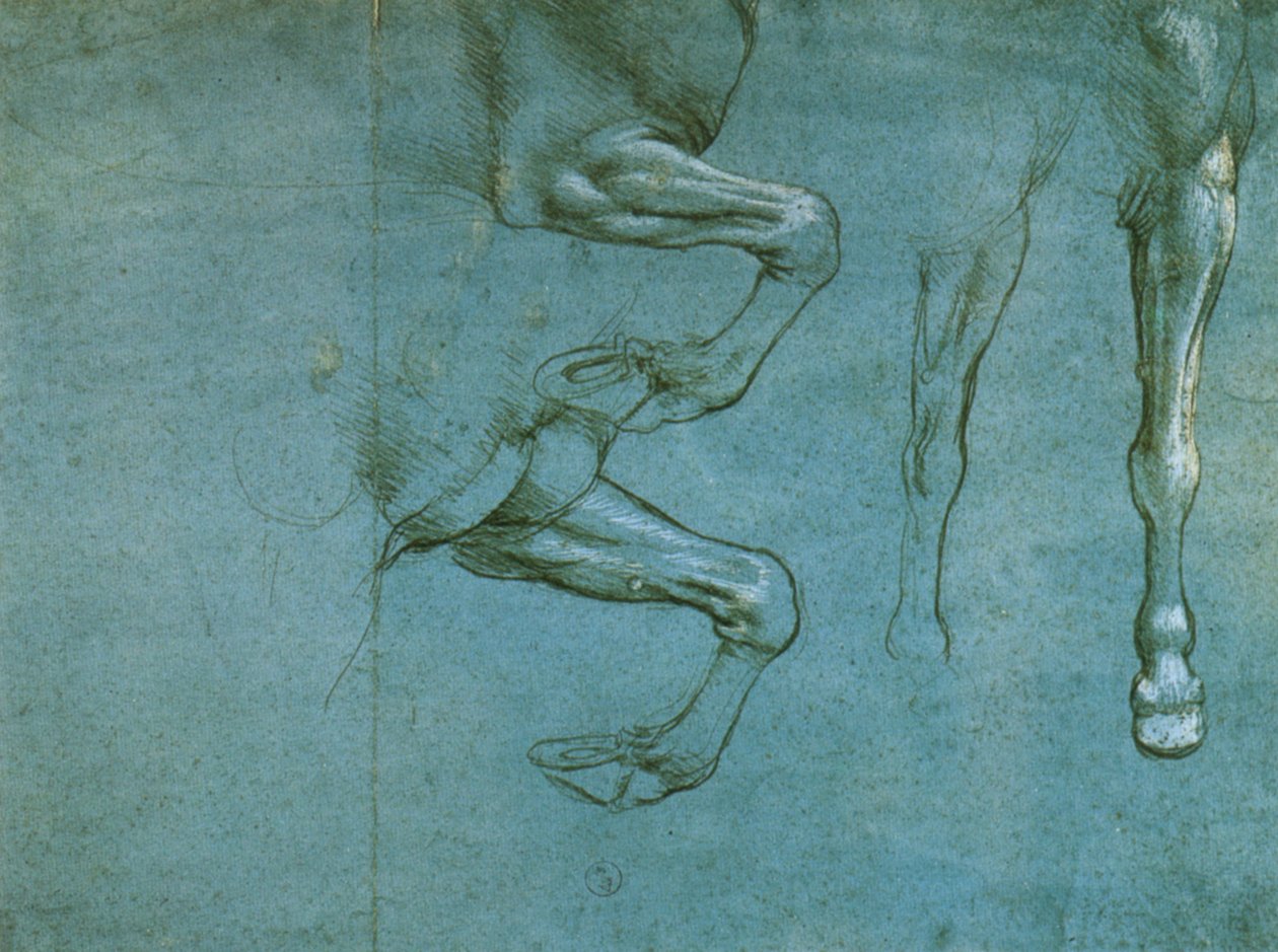 Estudio de las Piernas Anteriores de un Caballo de Leonardo da Vinci