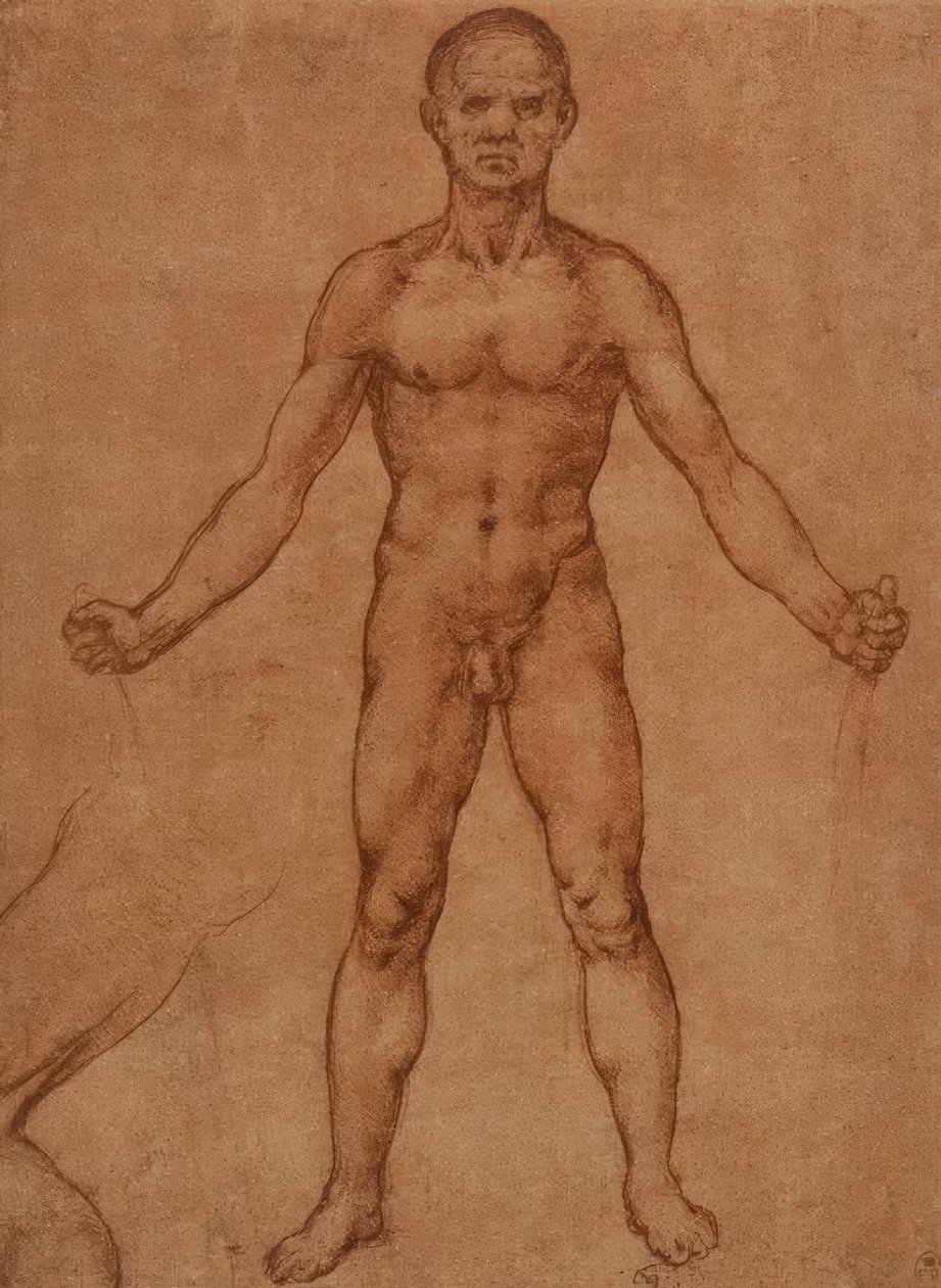 Estudio de un hombre desnudo de pie, frontal de Leonardo da Vinci