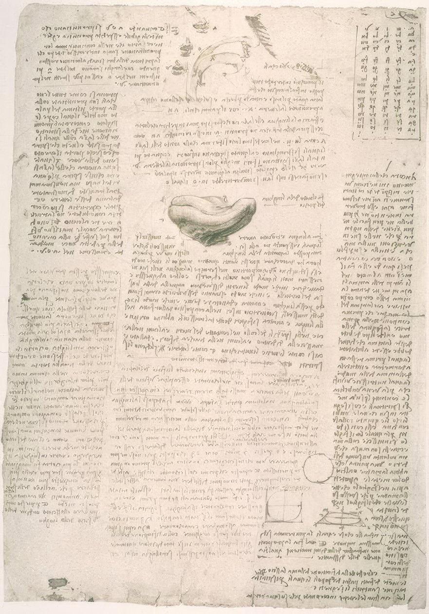 Estudios de anatomía de Leonardo da Vinci