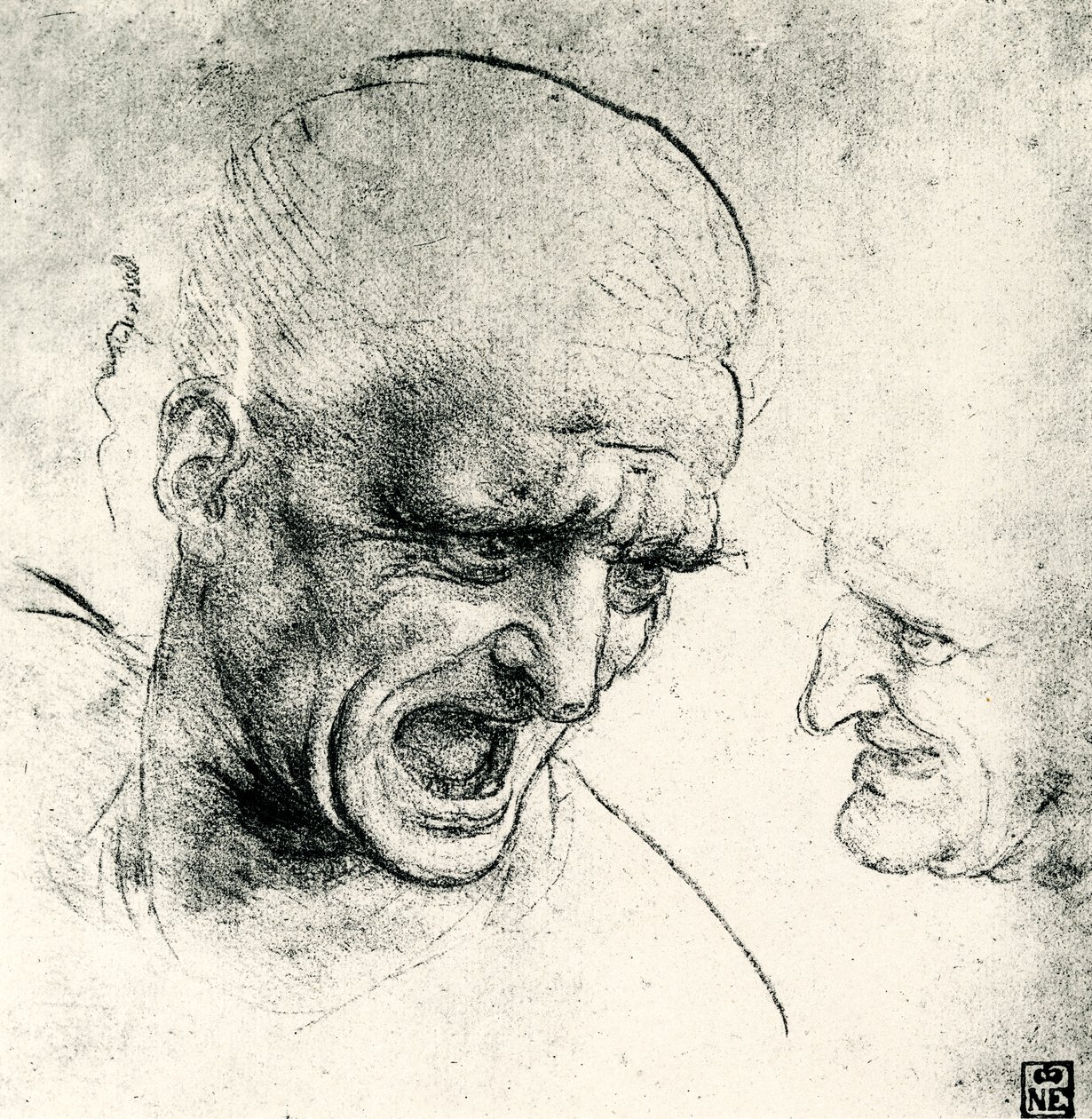 Estudios de cabeza de Leonardo da Vinci