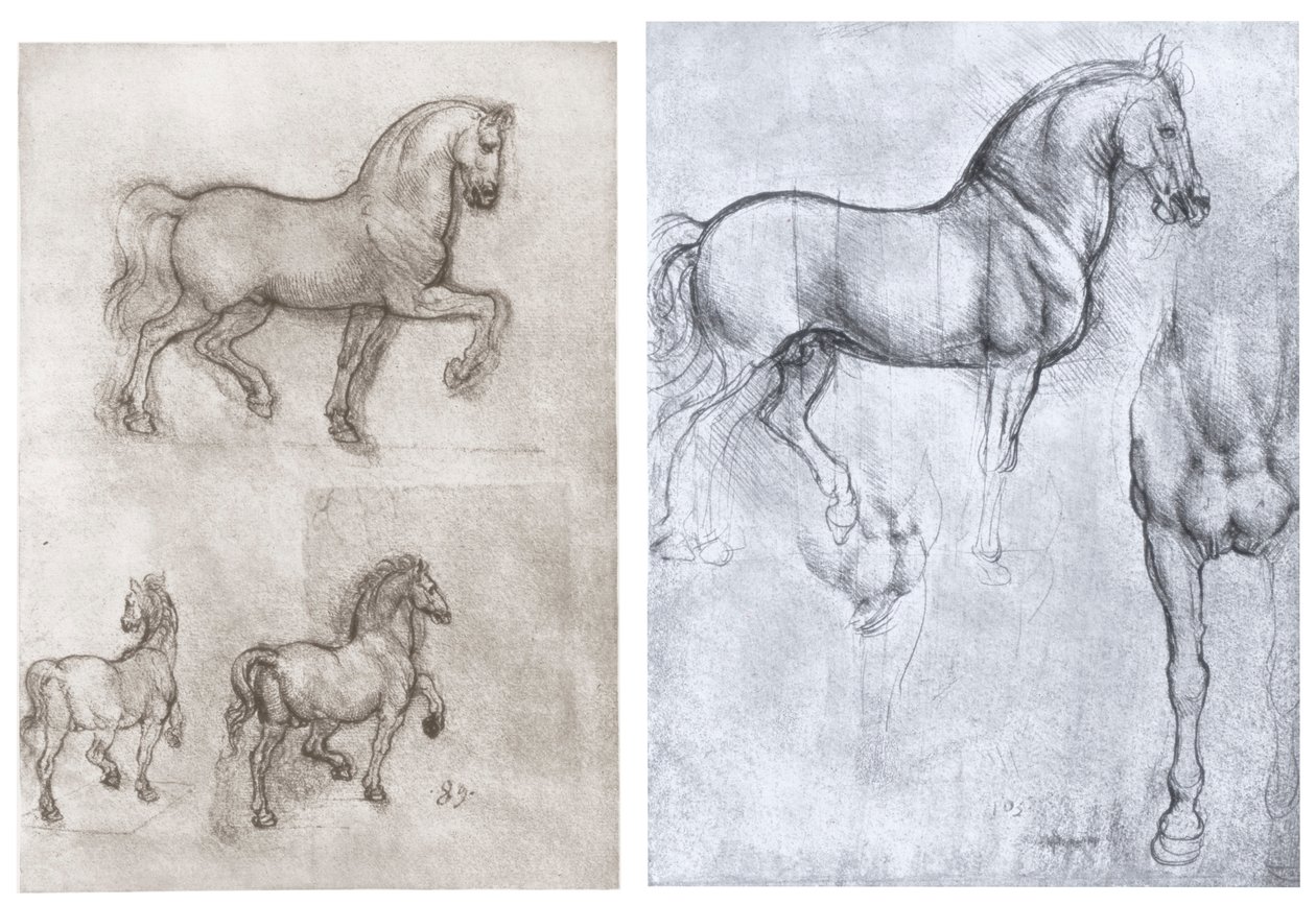 Caballos, c. 1490-1510 de Leonardo da Vinci