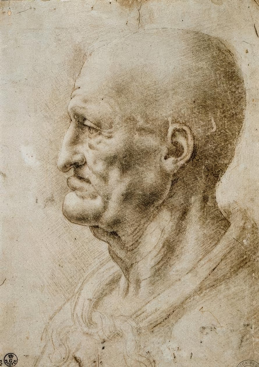 Estudio de la cabeza de un anciano de Leonardo da Vinci