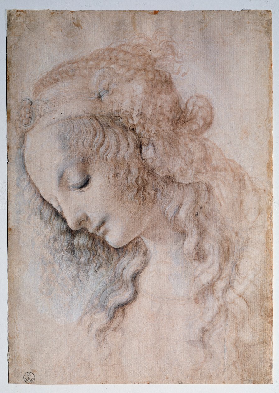 Retrato de una niña de Leonardo da Vinci