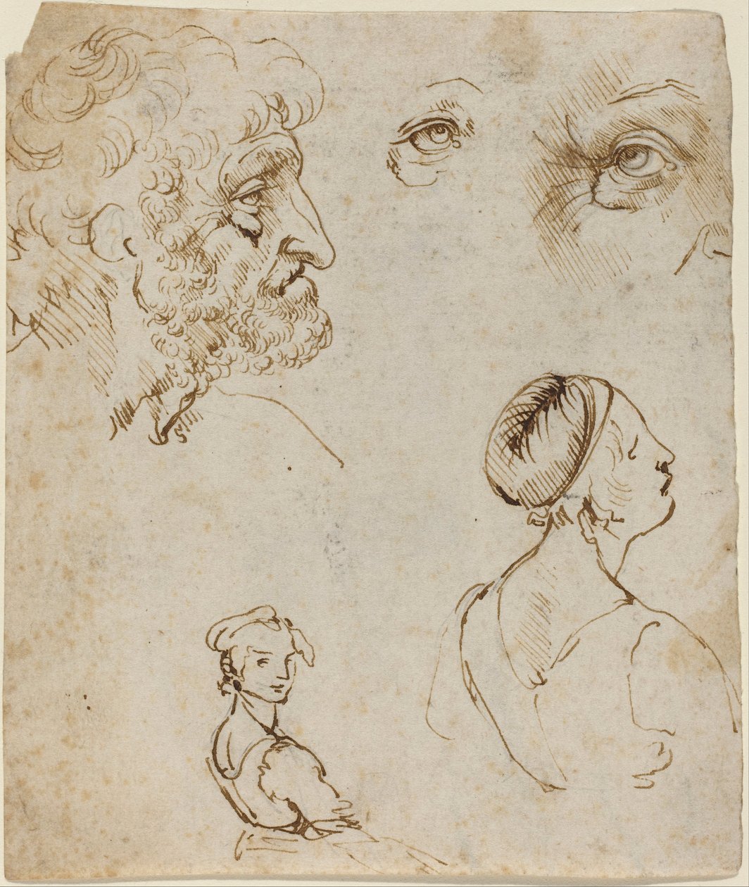 Hoja de estudios [recto] de Leonardo da Vinci