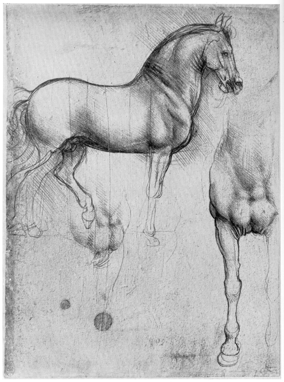 Estudios de caballos, c. 1490 de Leonardo da Vinci